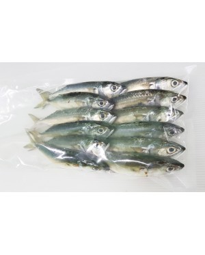 Ikan Kembong Pelaling 甘望鱼 Short Mackerel 