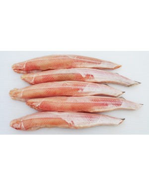 Ikan YU 鲨鱼仔 Shark - per 500g