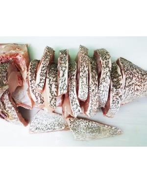 Ikan Kerapu 石斑鱼 Grouper