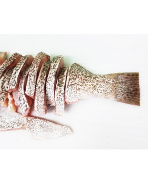 Ikan Kerapu 石斑鱼 Grouper