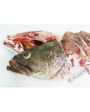 Ikan Kerapu 石斑鱼 Grouper