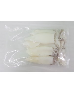 Sotong (L) 花枝 (大) Squid (L) - per 500g