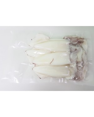 Sotong (L) 花枝 (大) Squid (L) - per 500g