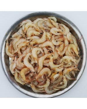 Udang Kertas 白虾