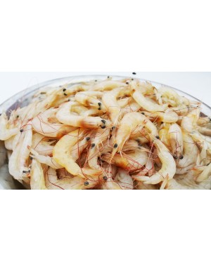 Udang Kertas 白虾
