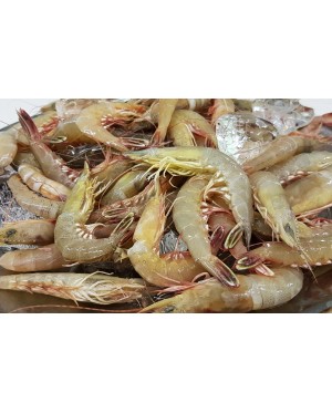 Udang Tajam 尖虾