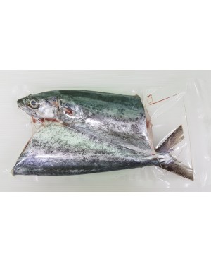 Ikan Tenggiri Papan 马鲛鱼 Mackerel