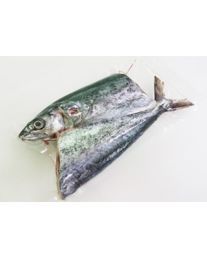 Ikan Tenggiri Papan 马鲛鱼 Mackerel
