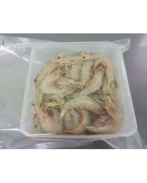 Udang Besar (M) 明虾 (中) Big Prawn (M)