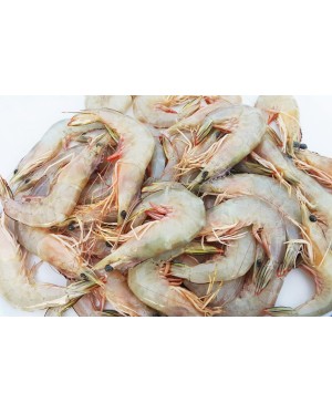 Udang Besar (L) 明虾 (大) Big Prawn (L)