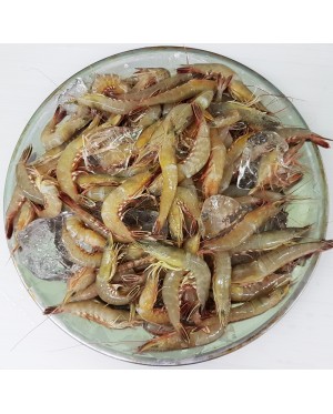 Udang Tajam ( Isi ) 尖虾 (虾肉) - 300g/pack