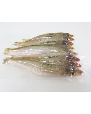 Ikan Bebolos Putih 白沙椎鱼 - per 500g