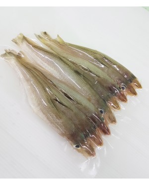 Ikan Bebolos Putih 白沙椎鱼 - per 500g