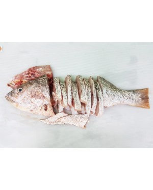 Ikan Jenahak Merah 红枣鱼 Golden Snapper