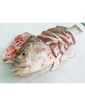 Ikan Jenahak Merah 红枣鱼 Golden Snapper