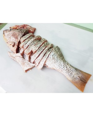 Ikan Jenahak Merah 红枣鱼 Golden Snapper