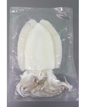 Sotong Katak 墨斗 Cuttlefish