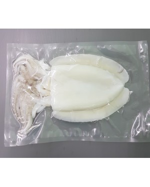 Sotong Katak 墨斗 Cuttlefish