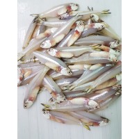 Ikan Bilis 江鱼仔 Anchovies - per 500g