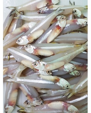 Ikan Bilis 江鱼仔 Anchovies - per 500g