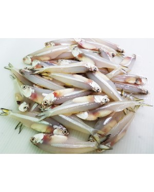Ikan Bilis 江鱼仔 Anchovies - per 500g